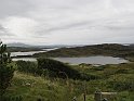 2014.08.20 Schottland - Stonechats Croft bei Ron in Sutherland (2970)